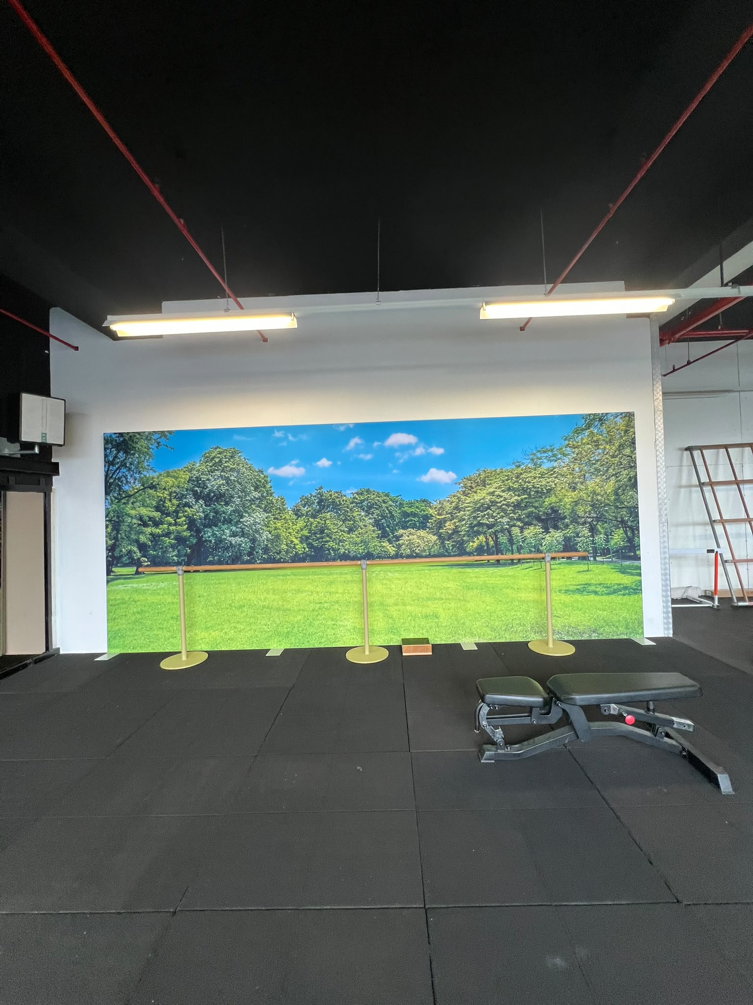 De Bespreking: wand met boomprint en halterbanken
